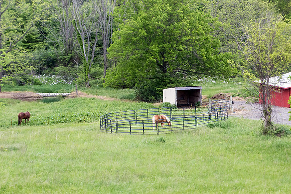 05-20-15 Along the Way (9)