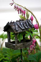 Bleeding Hearts (16)
