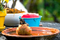 042A0806